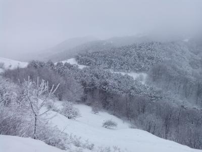 Прикрепленное изображение: IMG_20150110_143059.jpg